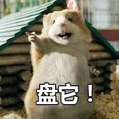 盘它！小仓鼠指着对方说盘它表情斗图吧gif搞笑图片