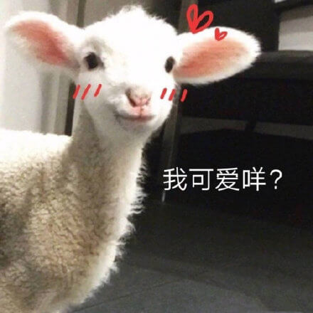 我可爱咩斗图吧gif搞笑图片