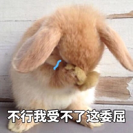 不行，我受不了这委屈斗图吧gif搞笑图片