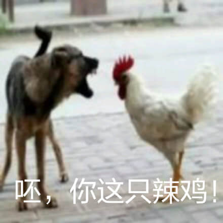 呸，你这只辣鸡斗图吧gif搞笑图片