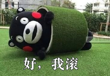 好，我滚斗图吧gif搞笑图片