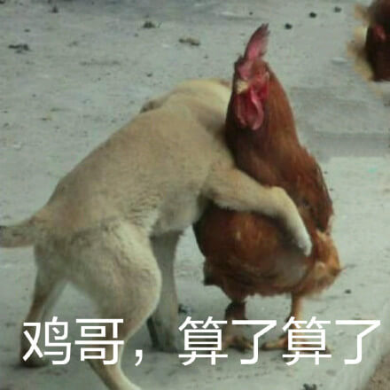 算了算了，狗子劝架鸡哥斗图吧gif搞笑图片