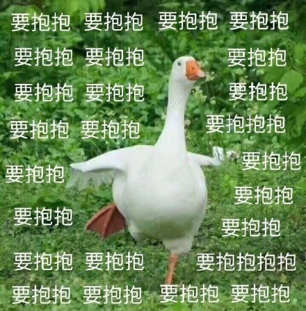要抱抱，就是要抱抱斗图吧gif搞笑图片
