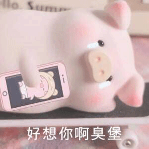 好想你啊臭宝斗图吧gif搞笑图片