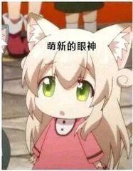 萌新的眼神斗图吧gif搞笑图片