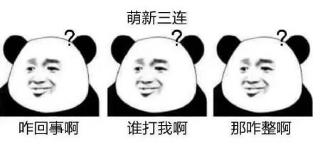 熊猫头萌新三连，咋回事啊，谁打我啊，那咋整啊斗图吧gif搞笑图片