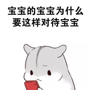 宝宝的宝宝为什么要这样对待宝宝斗图吧gif搞笑图片