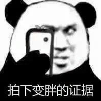 拍下变胖的证据斗图吧gif搞笑图片