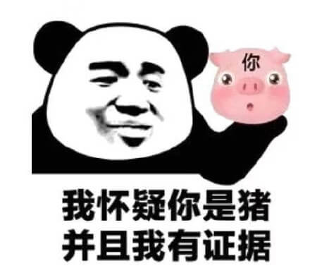 我怀疑你是猪，并且我有证据斗图吧gif搞笑图片