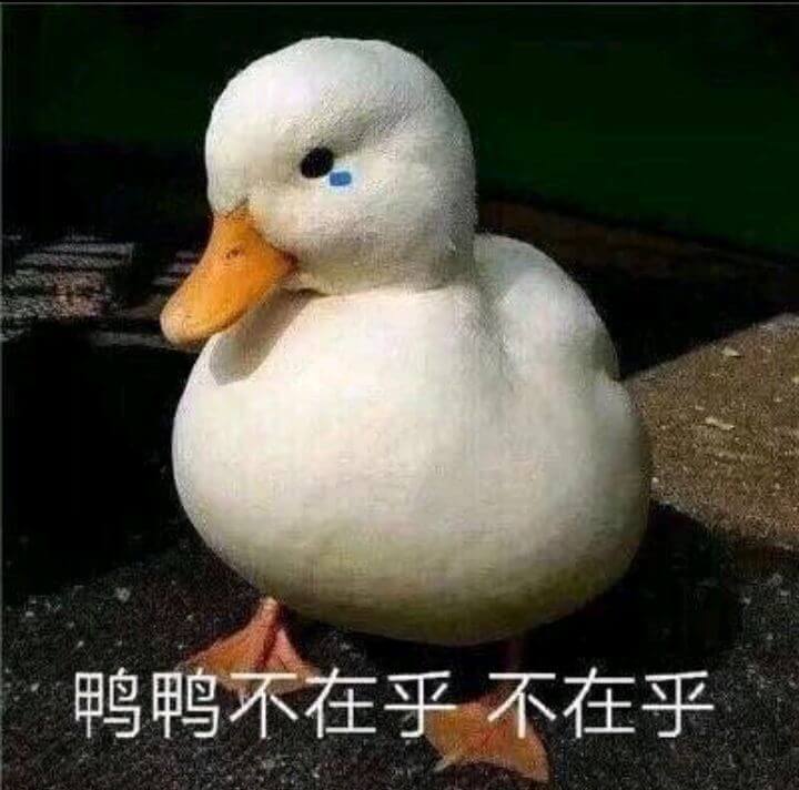 鸭鸭不在乎，不在乎斗图吧gif搞笑图片