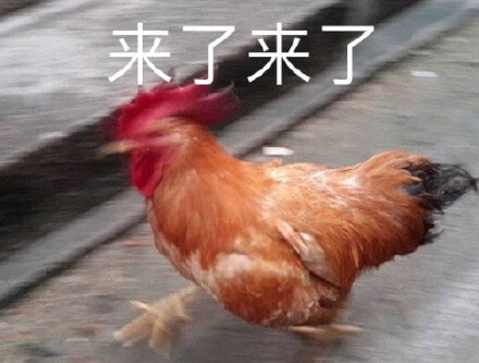 来了来了公鸡图斗图吧gif搞笑图片