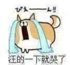 汪的一下就哭了斗图吧gif搞笑图片