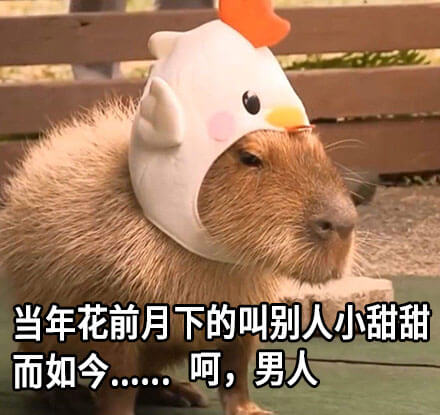 当年花前月下的叫别人小甜甜，而如今斗图吧gif搞笑图片