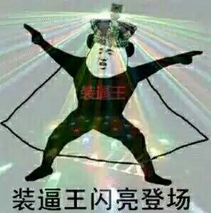 装逼王闪亮登场斗图吧gif搞笑图片