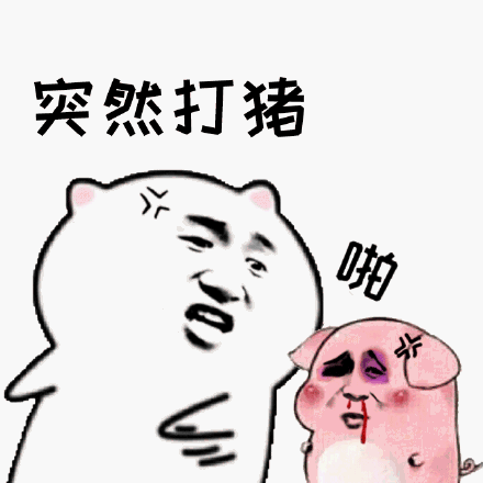 突然打猪斗图吧gif搞笑图片