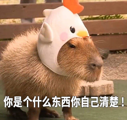 你是个什么东西你自己清楚田鼠版斗图吧gif搞笑图片