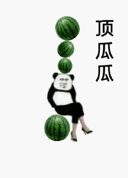 熊猫头顶瓜瓜表情斗图吧gif搞笑图片