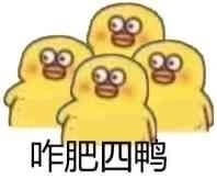 四只鸭子咋回事，咋肥四鸭斗图吧gif搞笑图片
