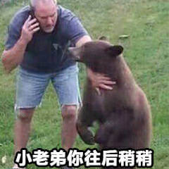 小老弟你往后稍稍斗图吧gif搞笑图片