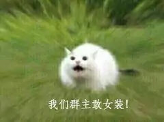 我们群主敢女装斗图吧gif搞笑图片