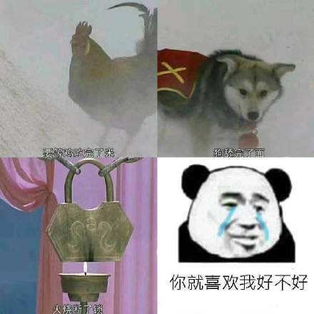 等不可能的条件达到后你就喜欢我好不好斗图吧gif搞笑图片