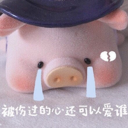 被伤过的心还可以爱谁呢斗图吧gif搞笑图片