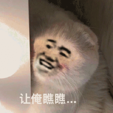 让俺瞧瞧，暗中观察斗图吧gif搞笑图片