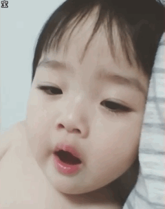 权律二打哈欠动图斗图吧gif搞笑图片