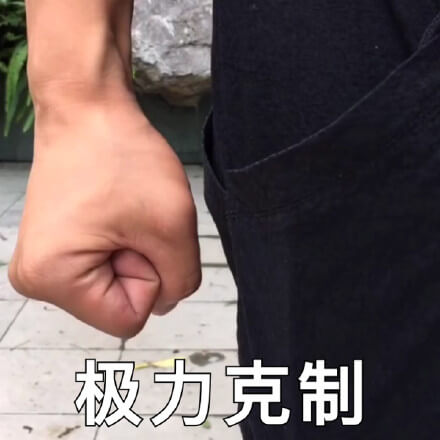捏着拳头极力克制斗图吧gif搞笑图片