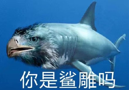 鲨鱼身子雕的头，你是鲨雕吗斗图吧gif搞笑图片