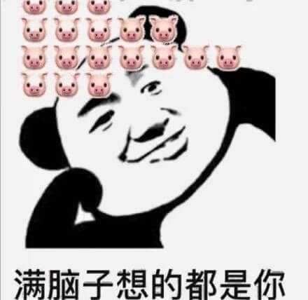 满脑子想的都是你个猪斗图吧gif搞笑图片
