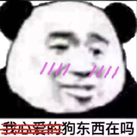 狗东西在吗斗图吧gif搞笑图片