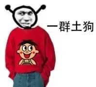 一群土狗斗图吧gif搞笑图片