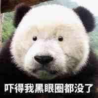 熊猫都被你吓得没了黑眼圈斗图吧gif搞笑图片
