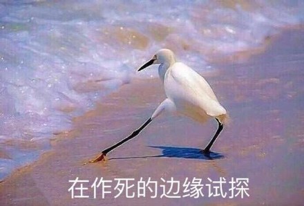 在作死的边缘试探斗图吧gif搞笑图片