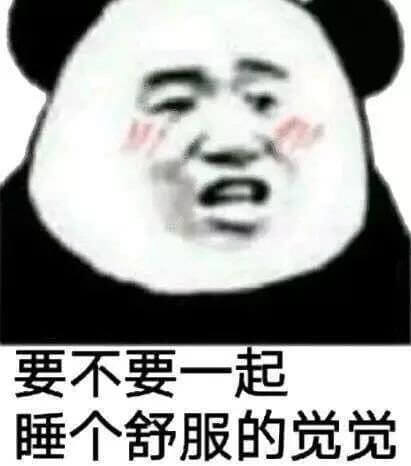 要不要一起睡个舒服的觉觉斗图吧gif搞笑图片