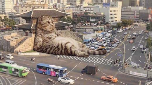 搞笑P图，街上躺着一只大肥喵恶搞gif搞笑图片