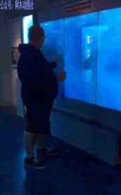 卧槽！劳资一点都不慌。。。恶搞gif搞笑图片