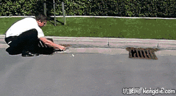 看看到底有多少只鸭子恶搞gif搞笑图片