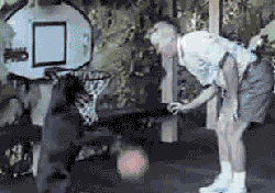 会打篮球的狗狗_主人还真是会玩恶搞gif搞笑图片