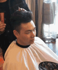 师傅给我设计一个有领导气质的发型恶搞gif搞笑图片