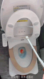 原来主人也好这口恶搞gif搞笑图片