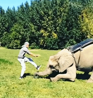 让我来表演一下杂技恶搞gif搞笑图片