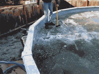 这位兄弟自己把自己给坑了恶搞gif搞笑图片