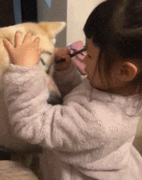 狗子好绝望恶搞gif搞笑图片