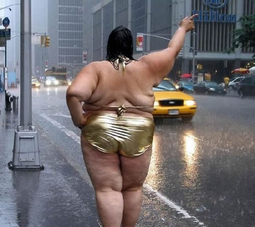 就问那个出租车敢停恶搞gif搞笑图片