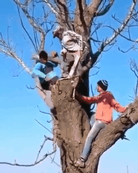 猪队友，从来都是这样恶搞gif搞笑图片