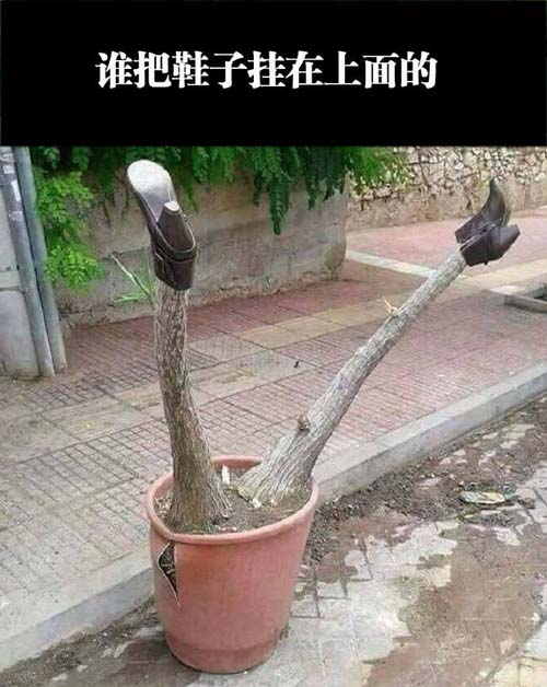 树杈穿鞋恶搞爆笑图片恶搞gif搞笑图片