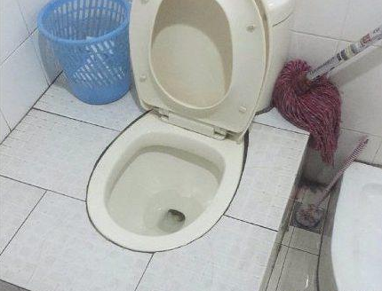 两用创意马桶恶搞图片恶搞gif搞笑图片