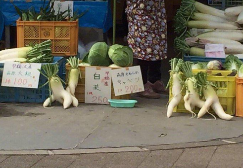 萝卜形状怪异蔬菜恶搞图片恶搞gif搞笑图片